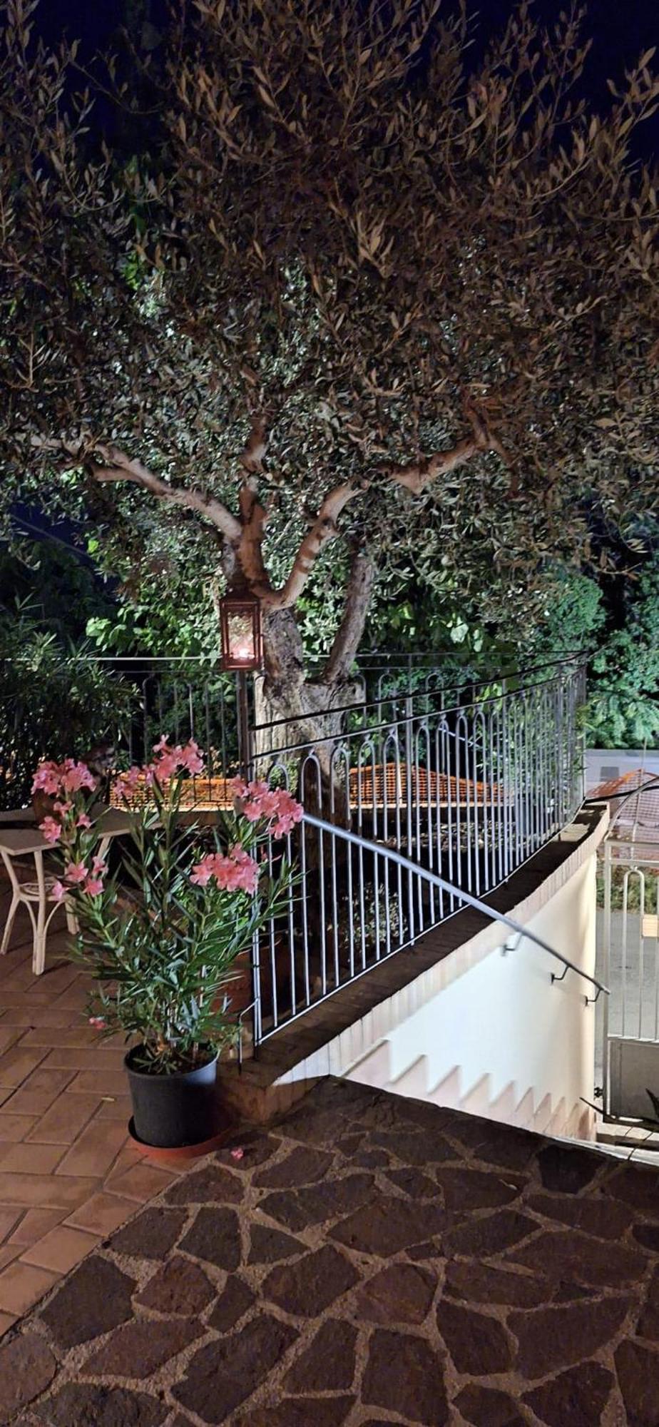B&B Palazzo Mestichelli Boutique Palace Monteprandone Exterior photo